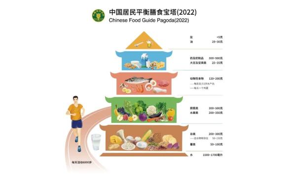 膳食营养素参考摄入量_膳食营养宝塔图片_营养膳食一日三餐